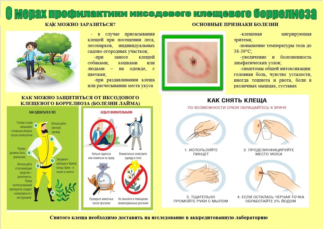 Профилактика заболеваний, передаваемых иксодовыми клещами.