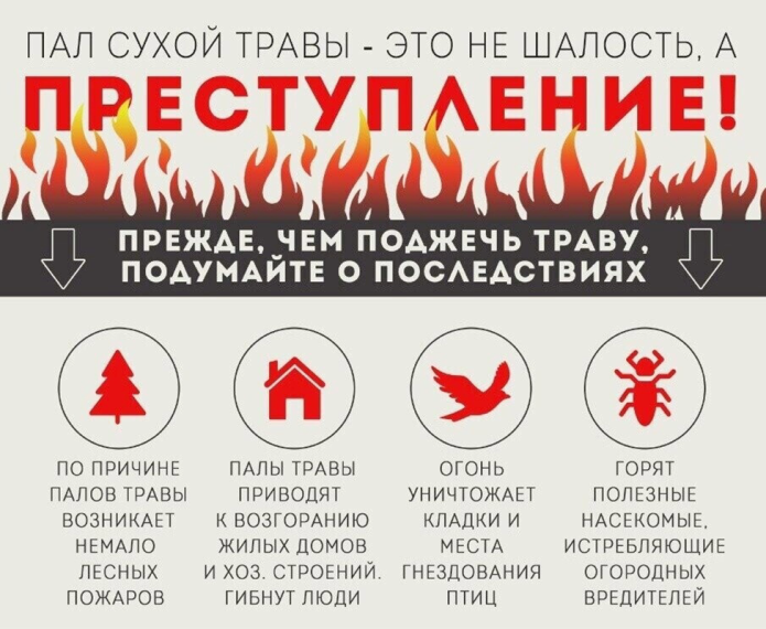 Пал сухой травы: опасность и ответственность. Пал сухой травы: опасность и ответственность.