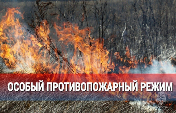 Особый противопожарный режим. Особый противопожарный режим.